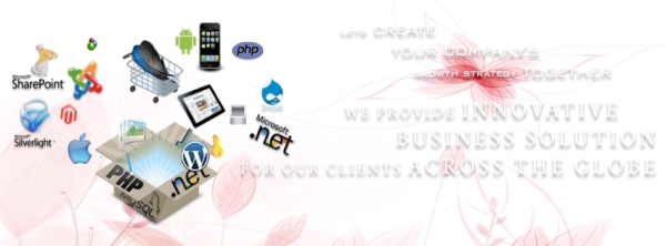 Indian Software Outsourcing Firms